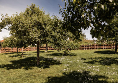 Ansicht vom Löffler Obstgarten