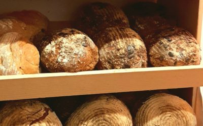 Holzofenbrot – gut verträglich gebacken