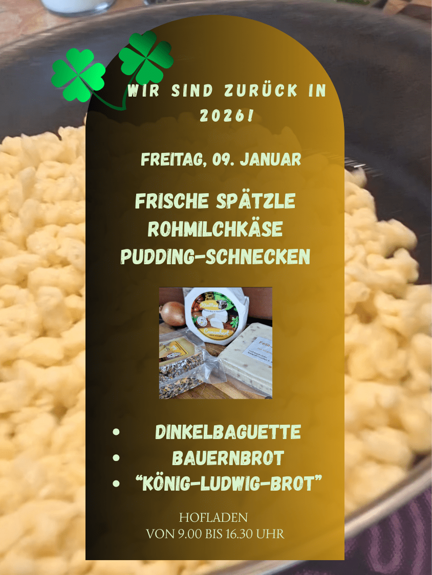 Holzstern und Lichterglanz mit dem Speisen zur 2. Hofweihnacht